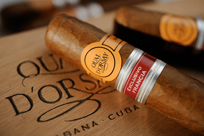Quai_D'Orsay_Robusto_Embajador_Regional_Edition_Cigars_Closeup_2